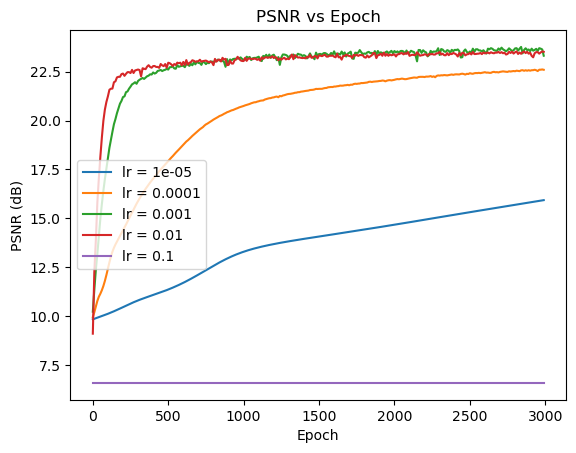 Different Learning Rates PSNR