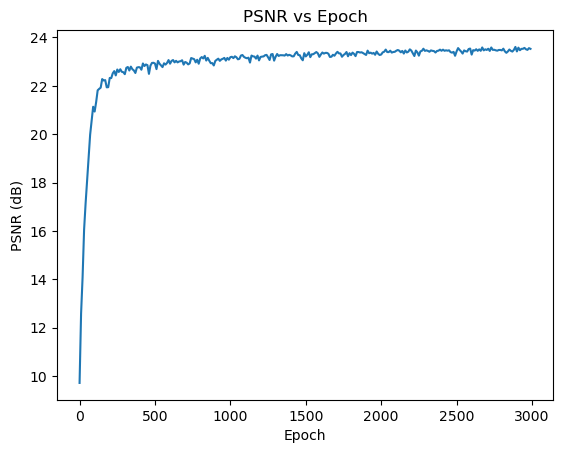 PSNR Training Curve for Fox