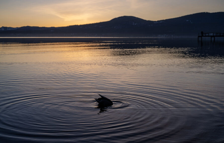Lake Tahoe photo 2