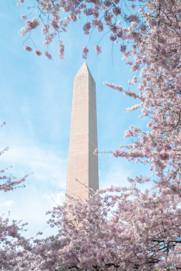Washington photo 1