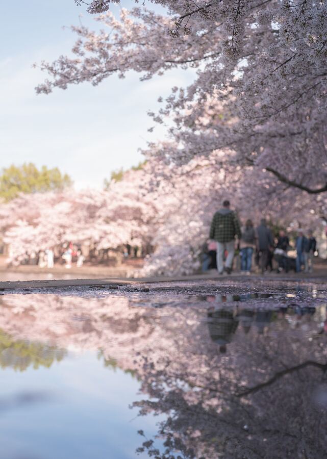 Washington photo 4
