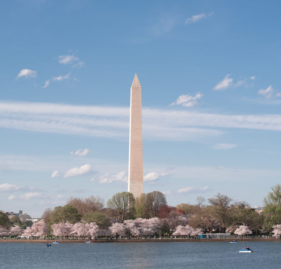 Washington photo 5