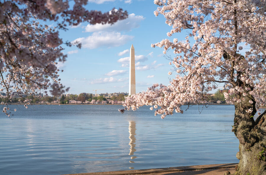 Washington photo 6